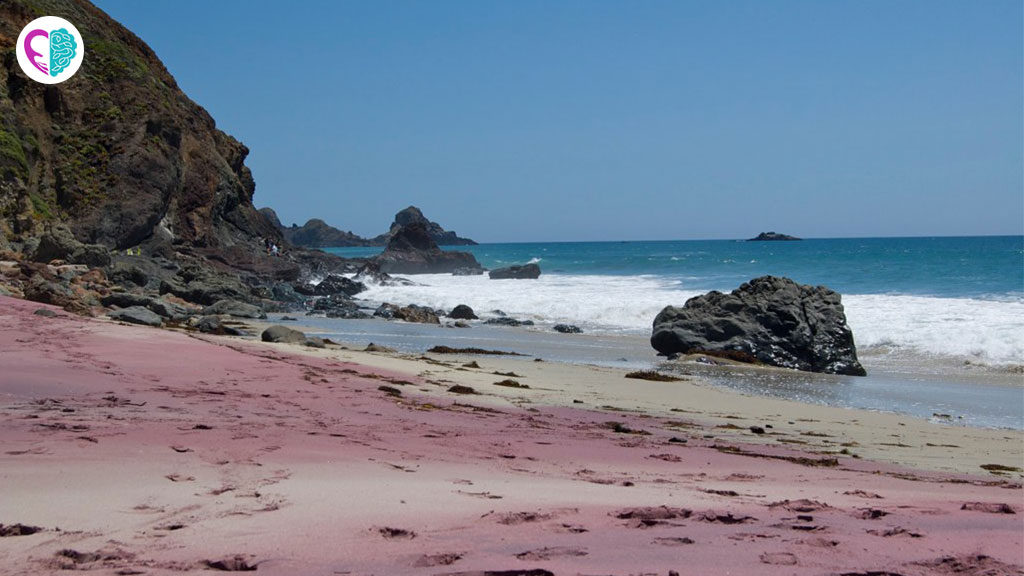 ساحل بنفش - کالیفرنیا